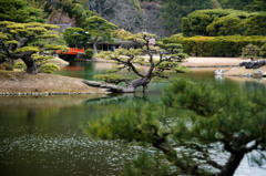庭園美