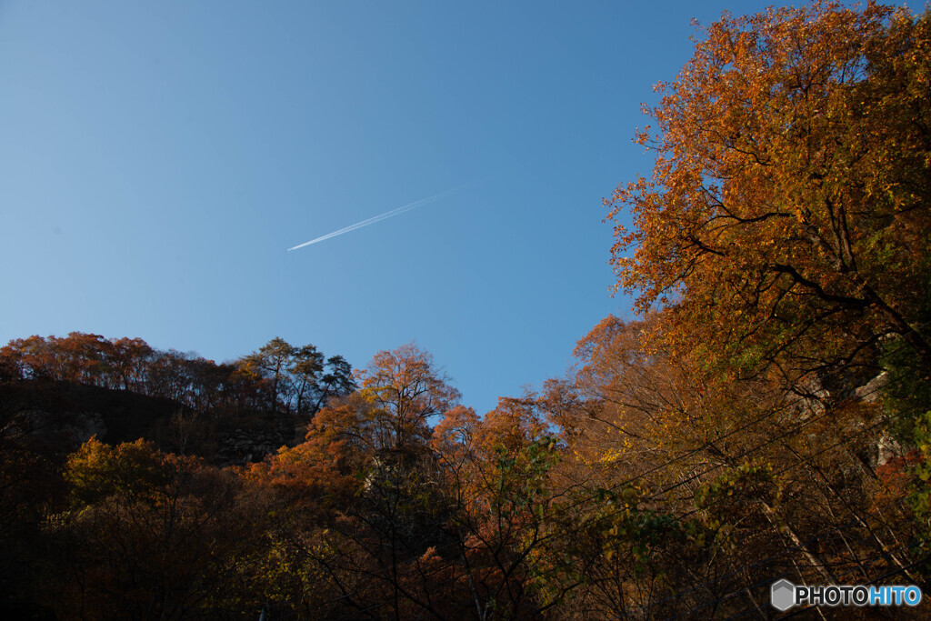 飛行機雲