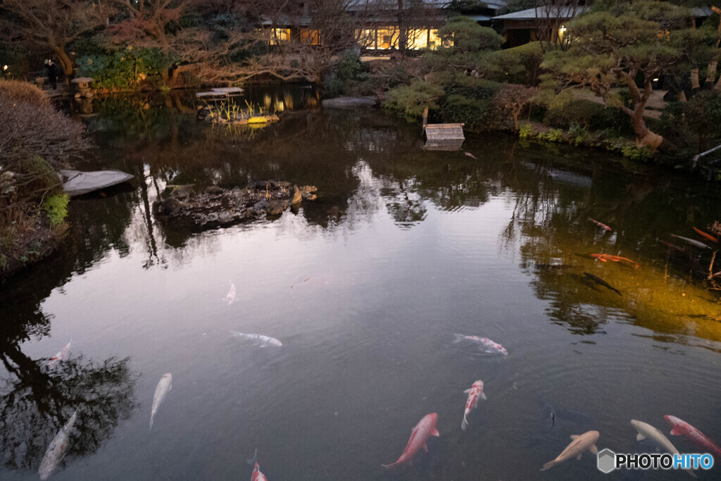 庭園に遊ぶ