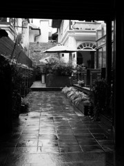 monochrome上海　19