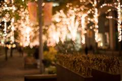 夜を飾る
