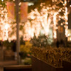 夜を飾る