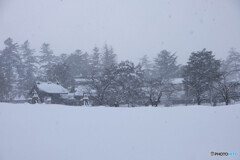 雪舞う米沢城址