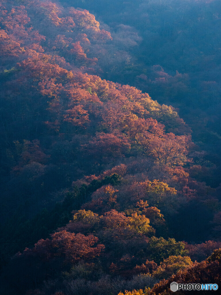 山の背に