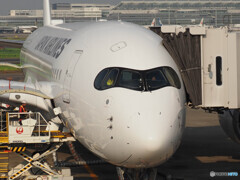 JAL