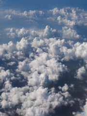 夏の空