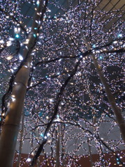キラ星の様に