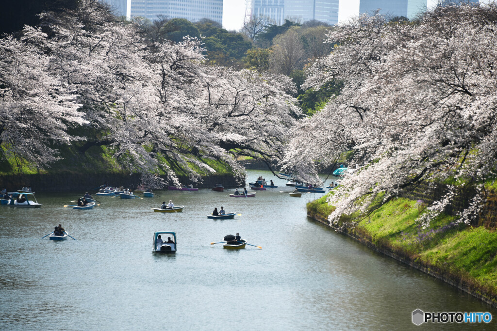 高層ビルを遠目に