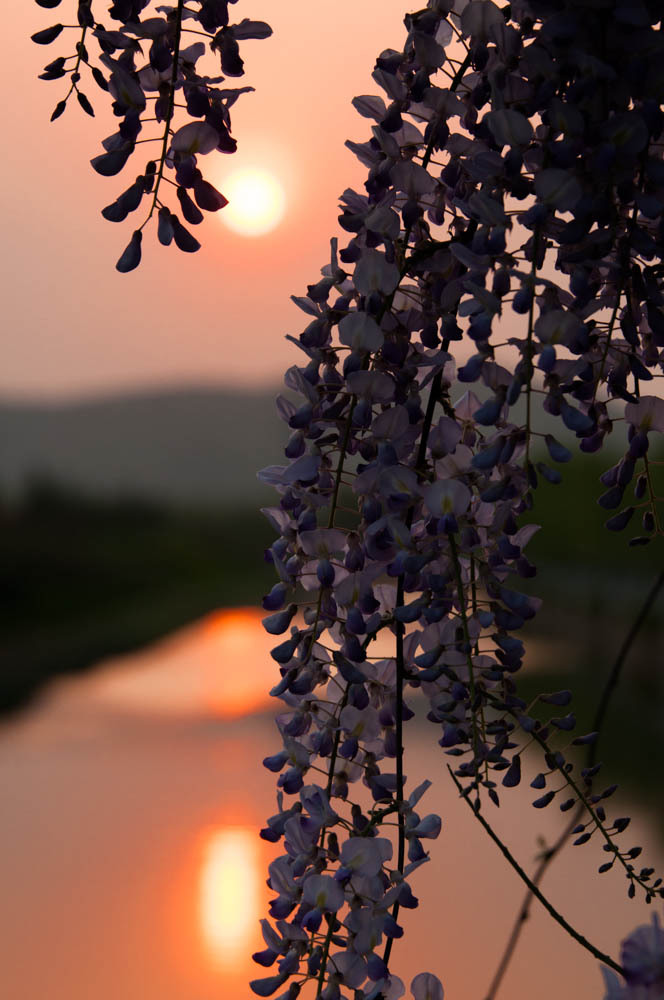 夕陽を眺めつつ