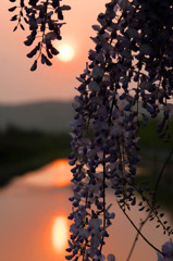 夕陽を眺めつつ