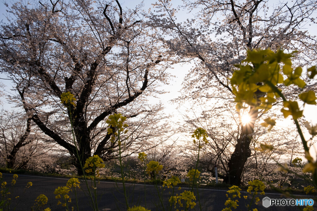 夕暮れ時に