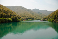南山竹林