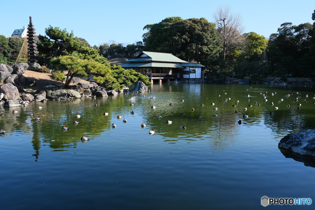 穏やかな一日