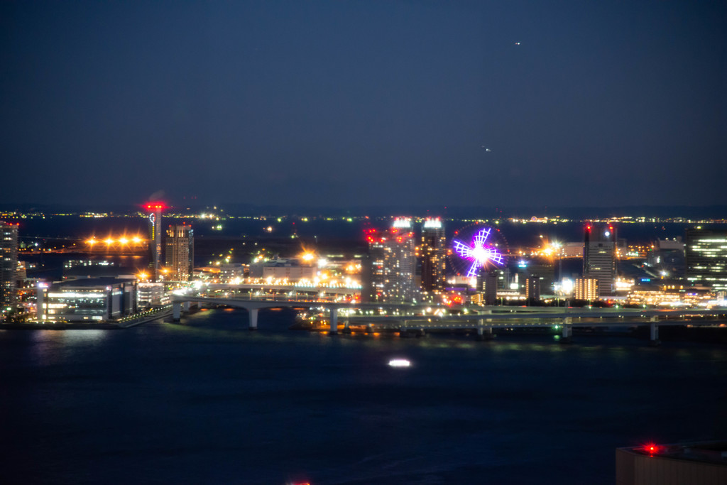 東京湾を眺めて