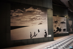 東京都写真美術館