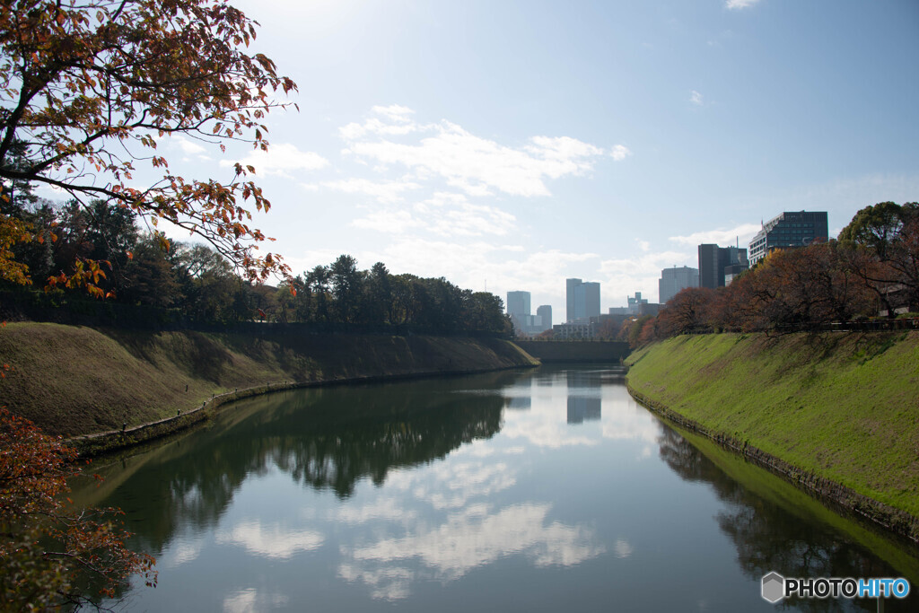 お濠が望める風景