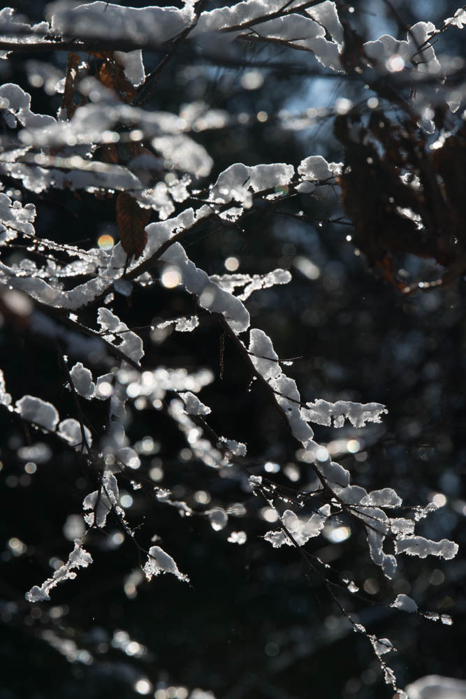 雪解け