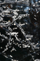 雪解け