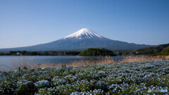 優美な富士山