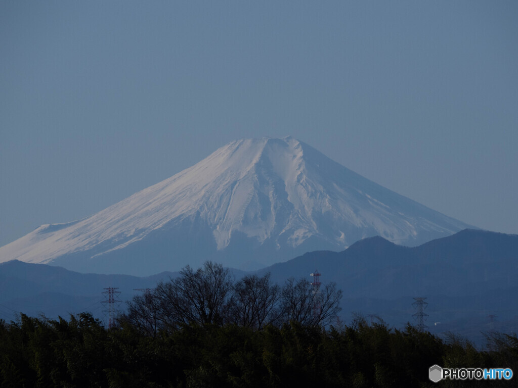 本年も宜しくお願い致します