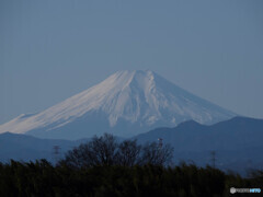 本年も宜しくお願い致します