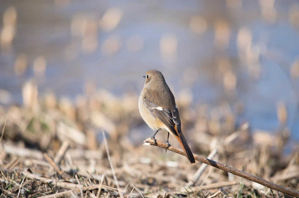 何も言わないで、、、