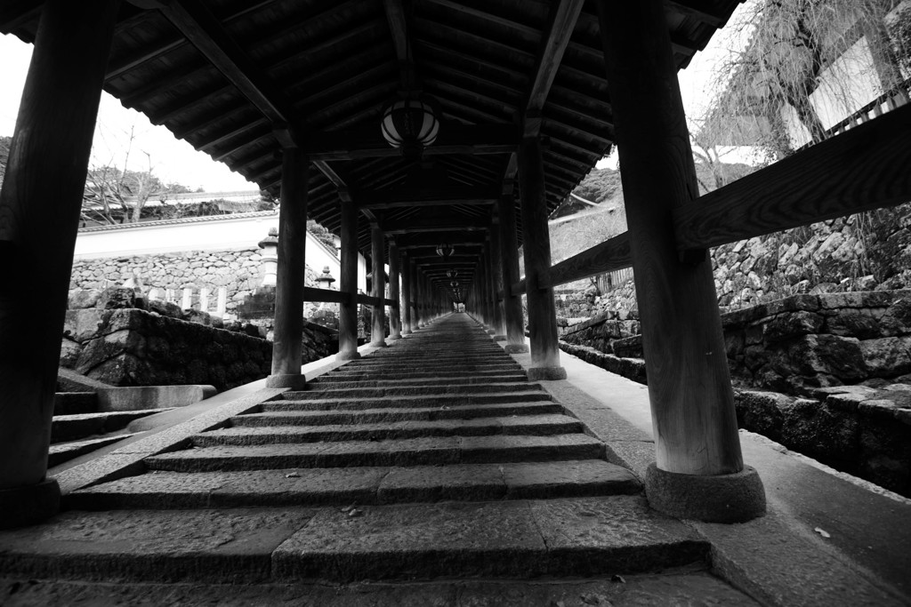 師走の大和路