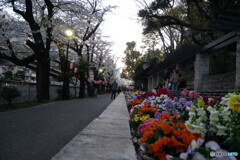 花を包まれて