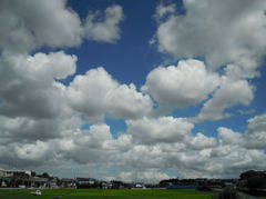 夏の空