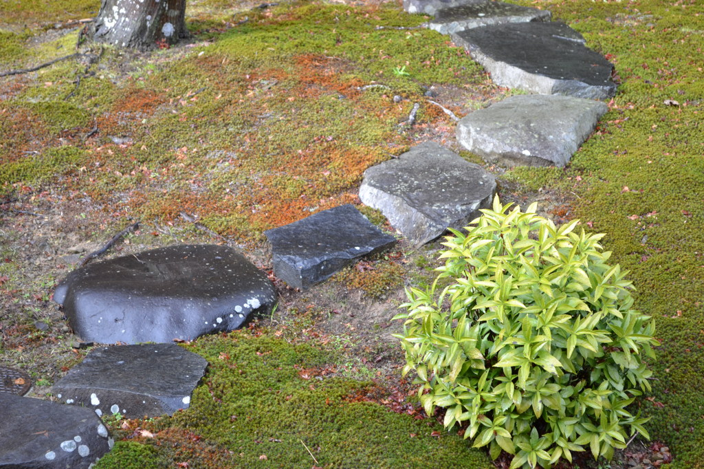 行基寺　庭園