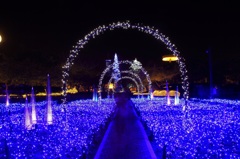 BLUE GATE