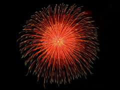 FireWorks 07