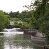 P5020262