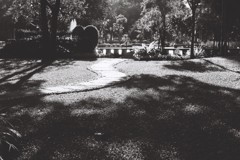 [タイ] 公園　ネオパン 100 ACROS