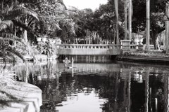 [タイ] 公園　ネオパン 100 ACROS