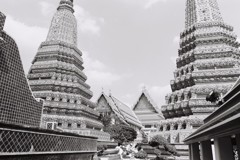 [タイ] 寺院　ネオパン 100 ACROS