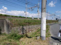 京街道は京阪に沿う
