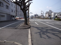 紀州街道風景