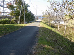 京街道近くの農道