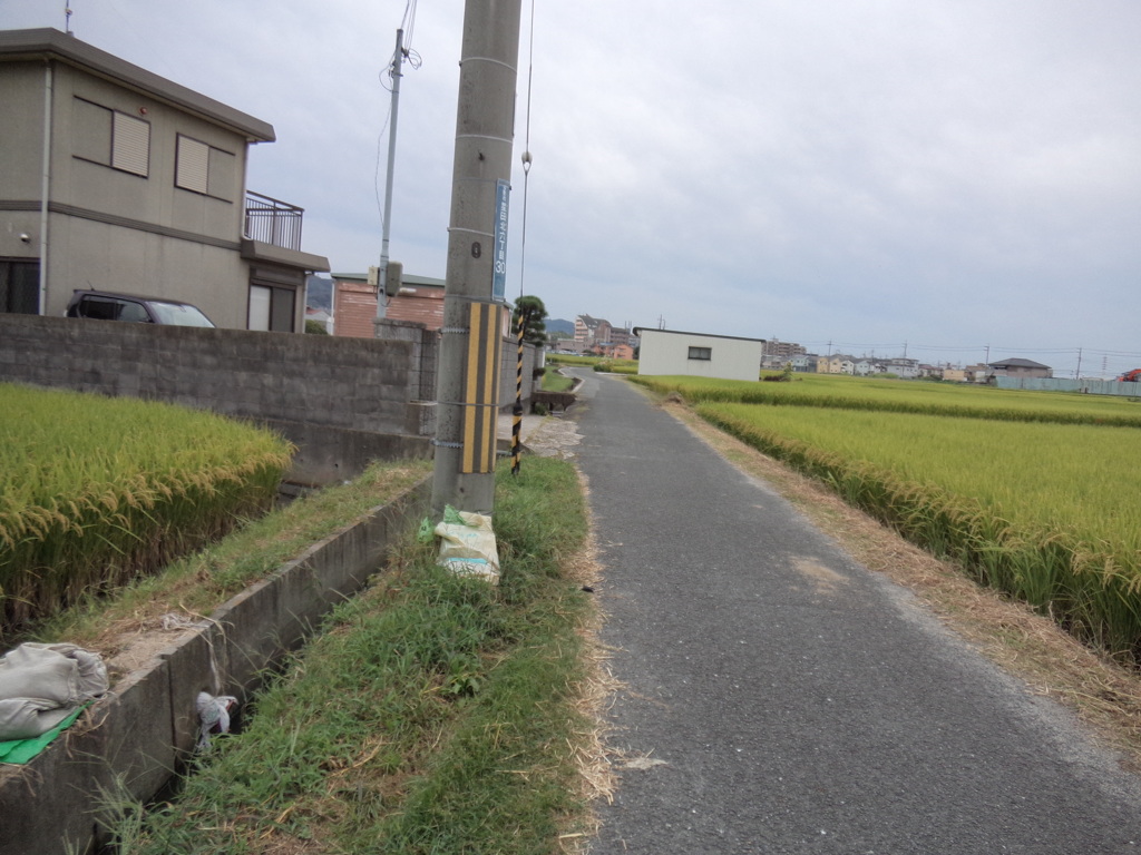 東高野街道２