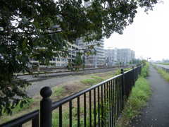 京阪の線路が京街道