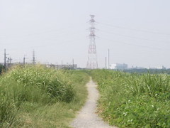 文禄堤の京街道