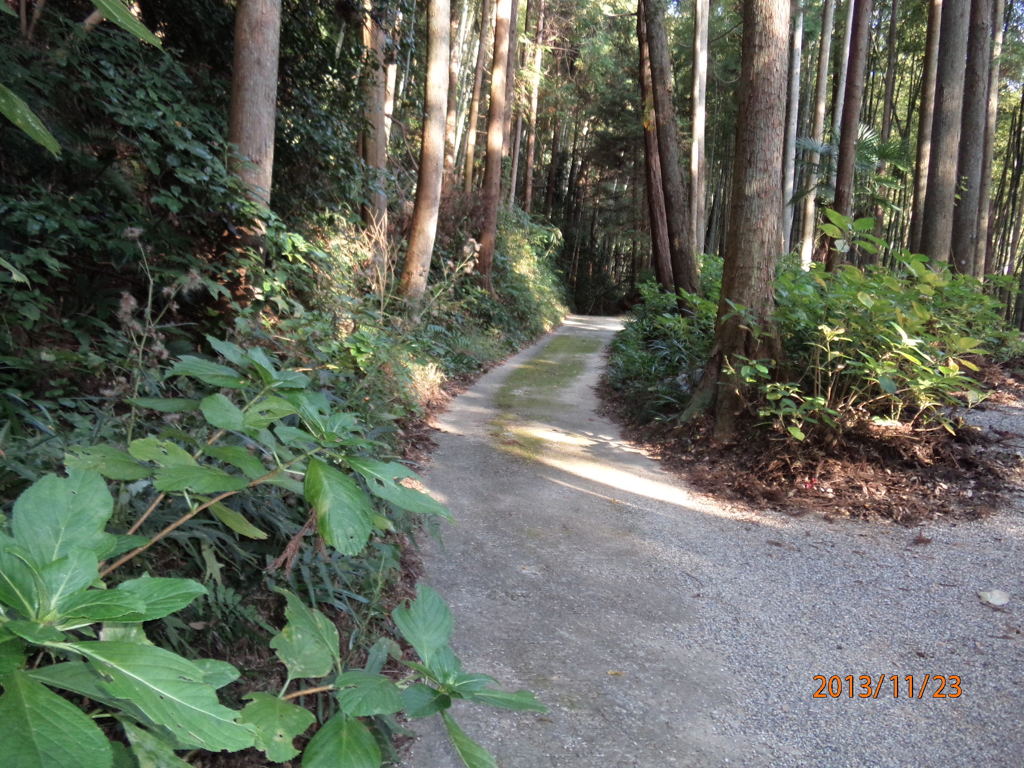 近長谷寺参道