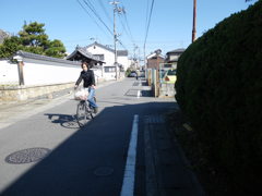 美豆(みづ）京街道