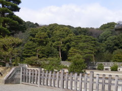 桃山御陵風景