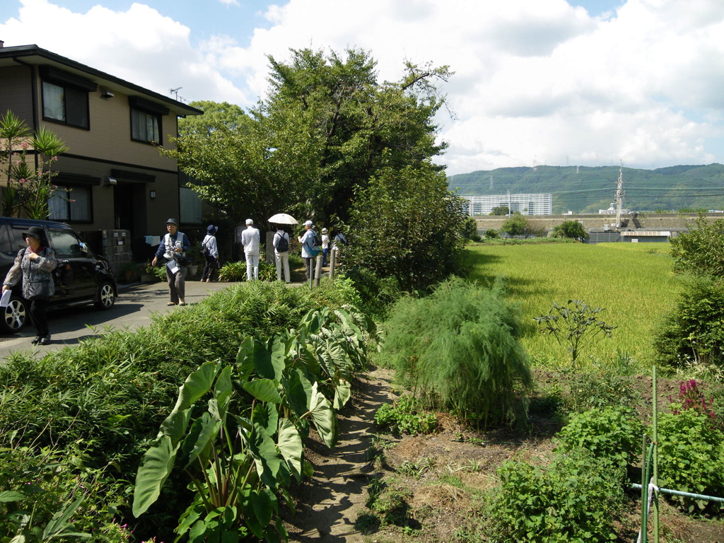 お台場跡１