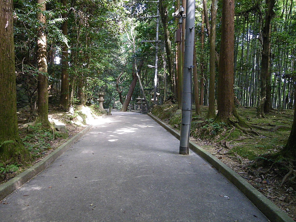 境内への参道