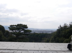 大和を望む