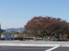 大楠から直線が京街道