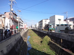 観音井路１